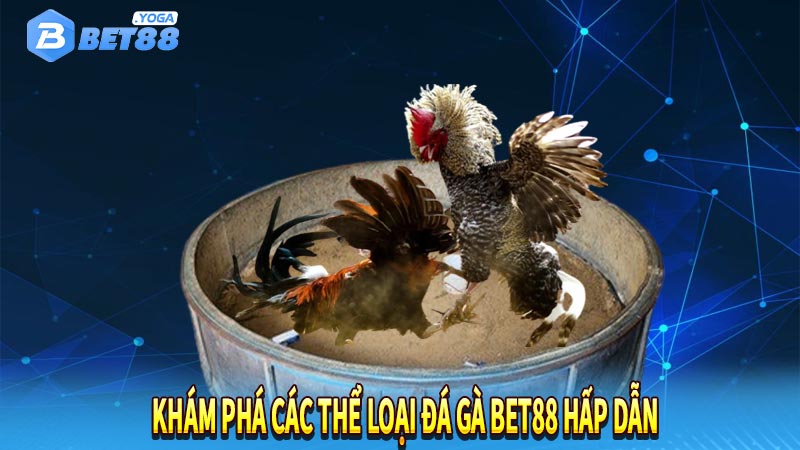 Khám phá các thể loại đá gà bet88 hấp dẫn 