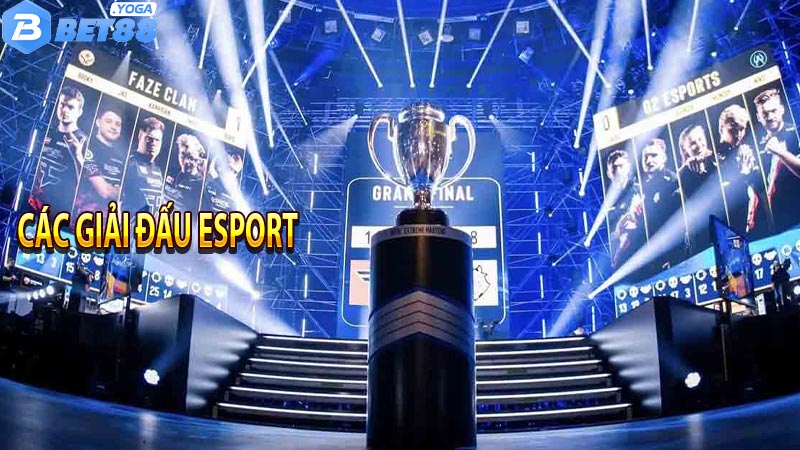 Các Giải Đấu Esport