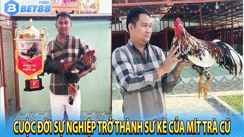 Cuộc đời sự nghiệp trở thành sư kê của Mít Trà Cú