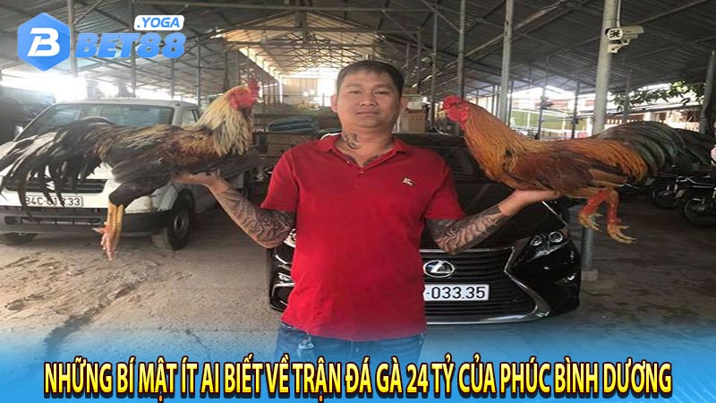 Những bí mật ít ai biết về trận đá gà 24 tỷ của Phúc Bình Dương