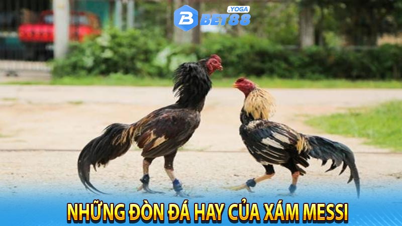 Những đòn đá hay của Xám Messi